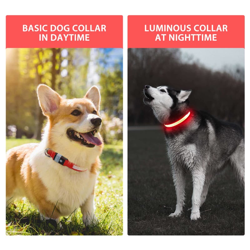 PcEoTllar Light up Dog Collar for Night Walking - LED Dog Collar Light Rechargeable Color Changing, Glow in The Dark Dog Collars Waterproof Glowing Dog Collars for Large Small Medium Dogs - Image 2